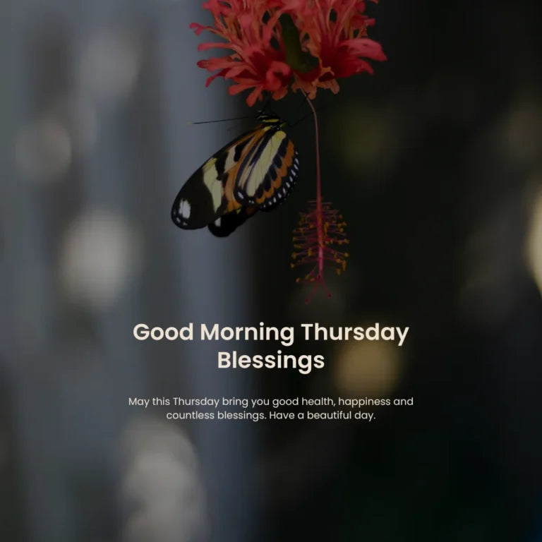 Thursday Blessings